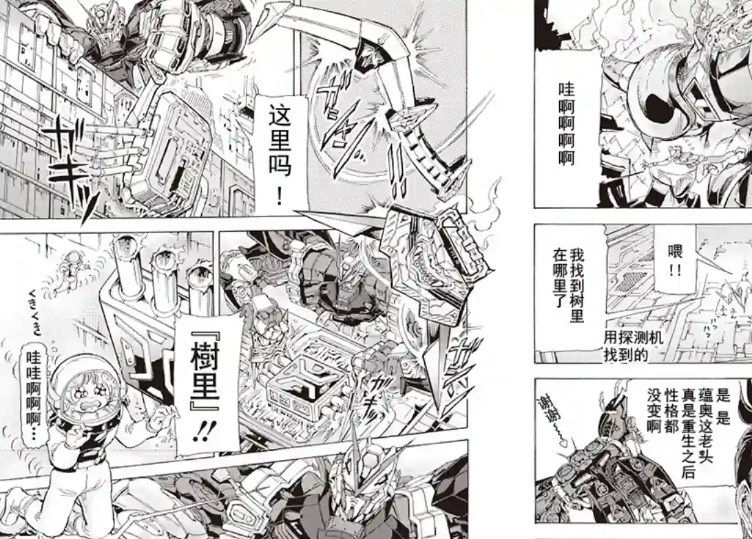 机动战士高达SEED ASTRAY RSP-06