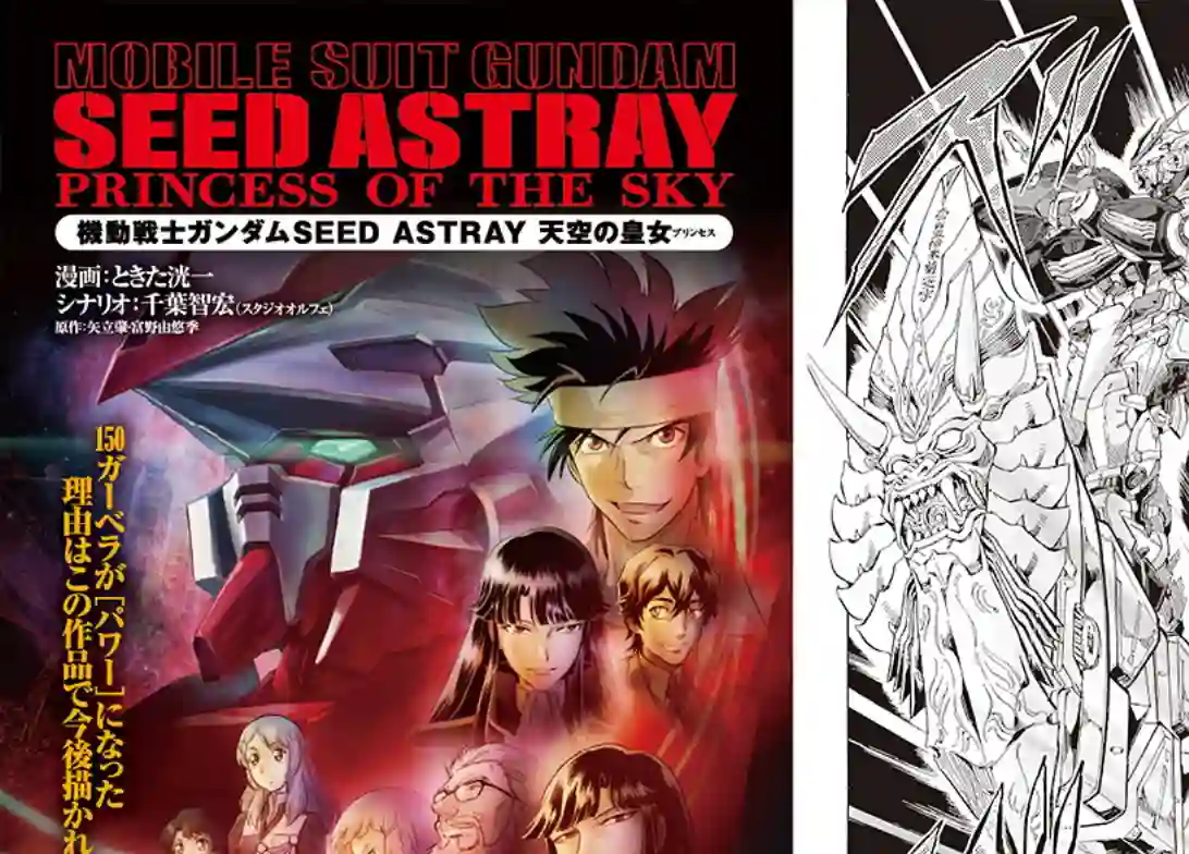 机动战士高达SEED ASTRAY RSP-06