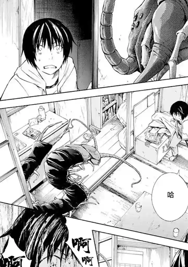 蜘蛛之丝第01话