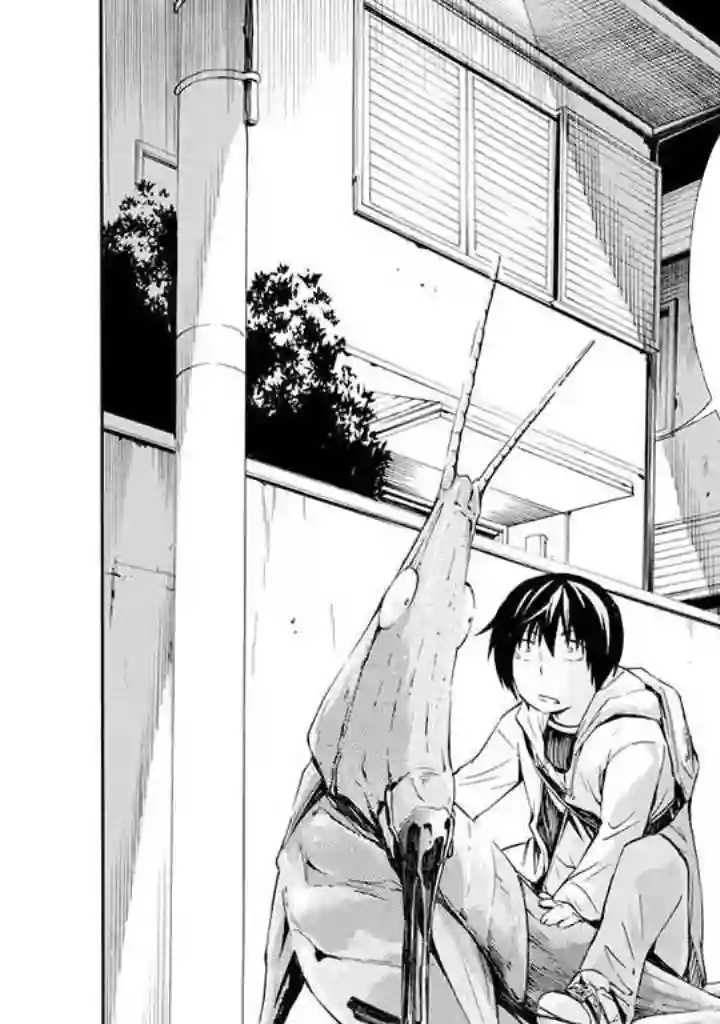 蜘蛛之丝第02话