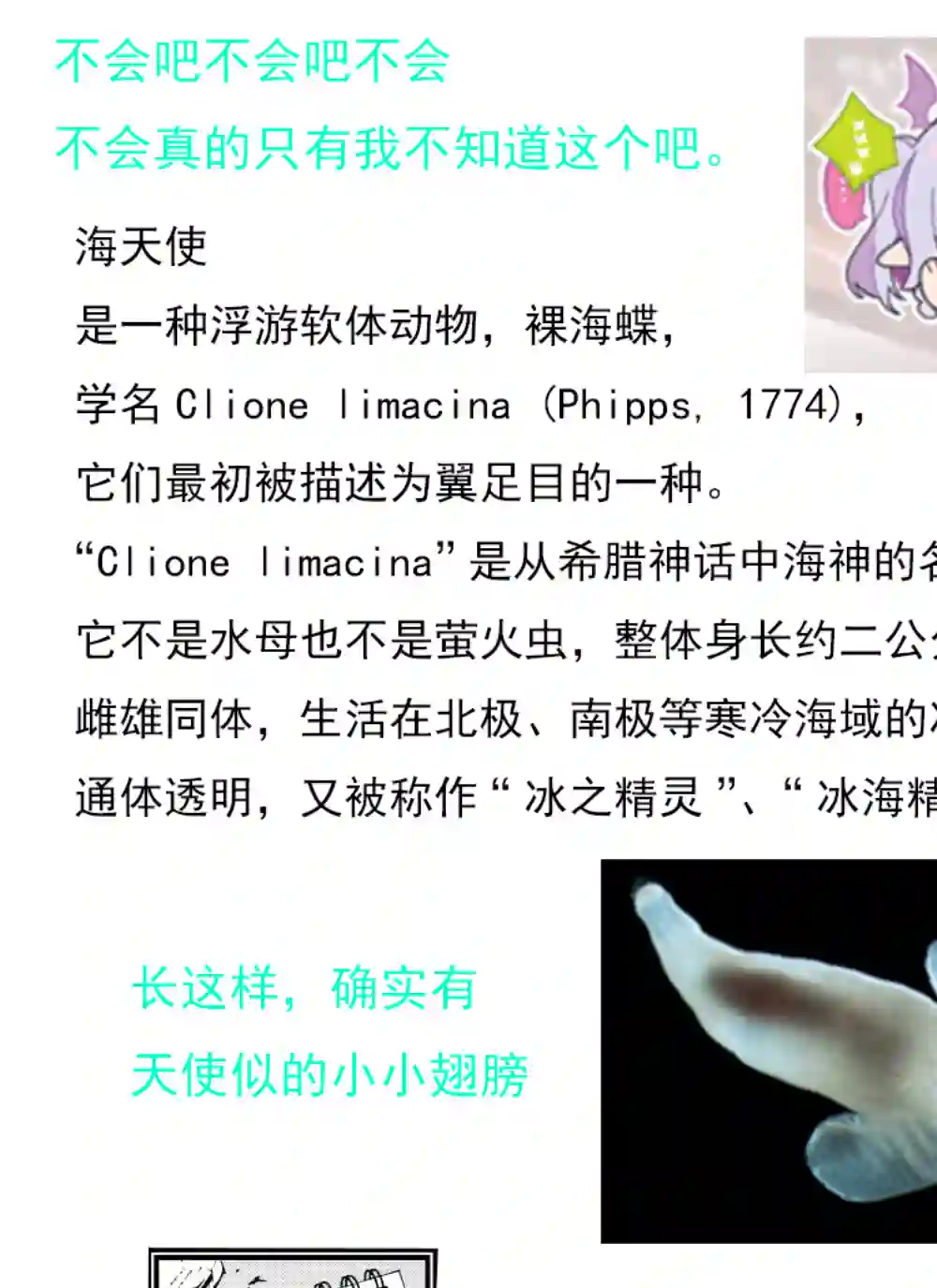 心因性精神人鱼第11话