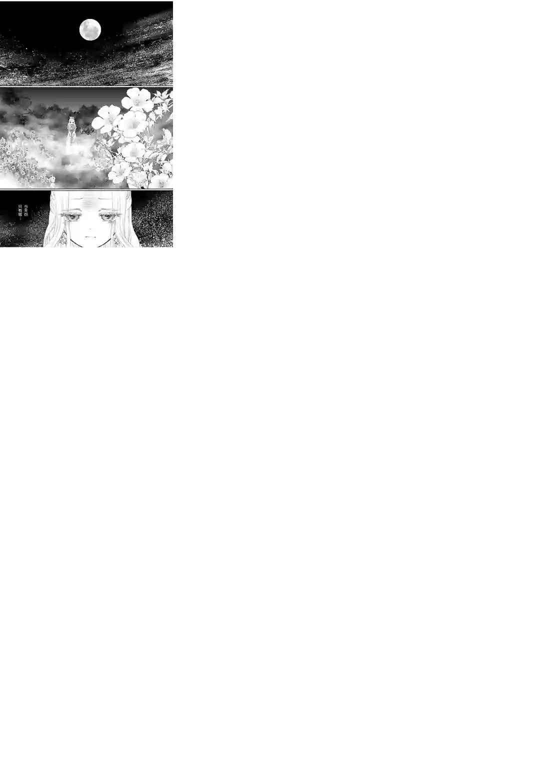 天上恋歌~金之公主与火之药师~第11话