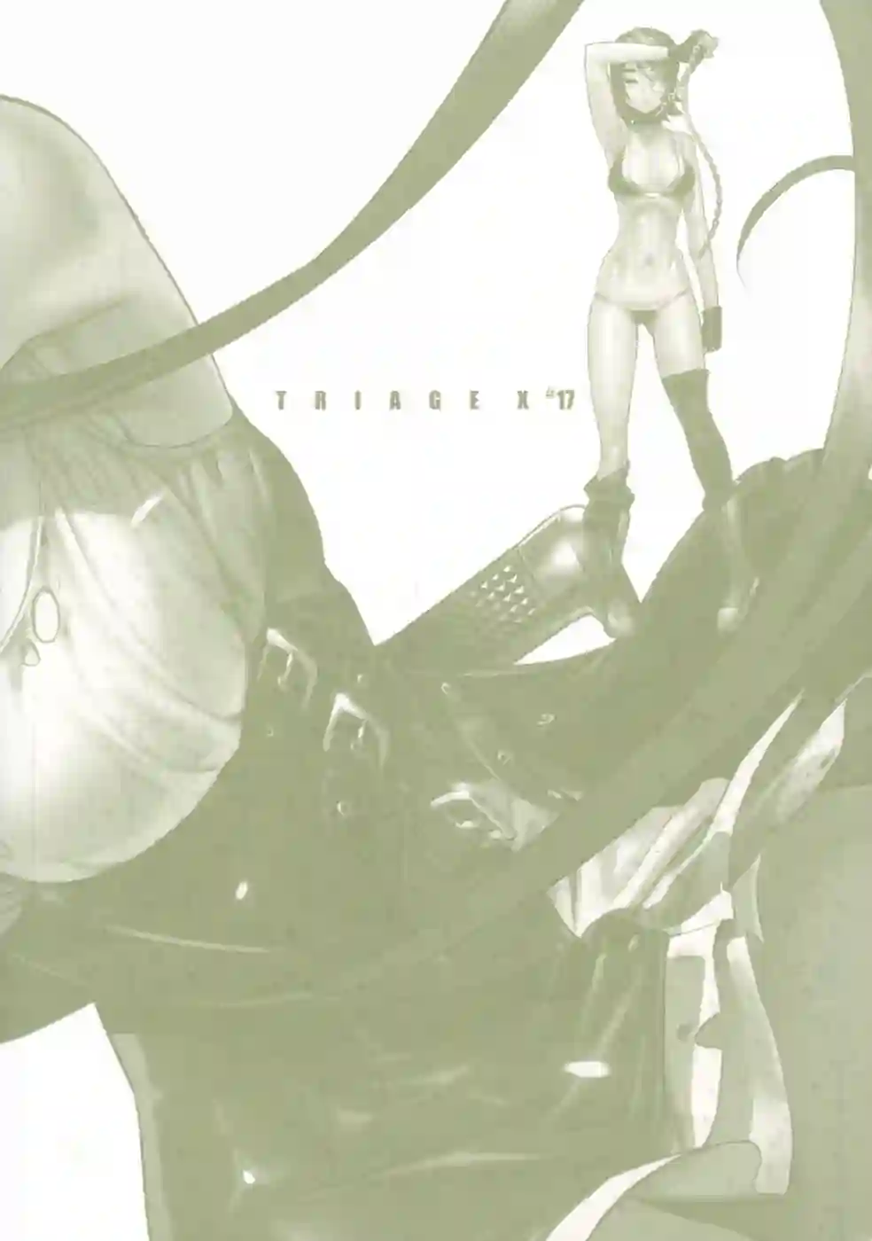 绝命制裁X第17卷