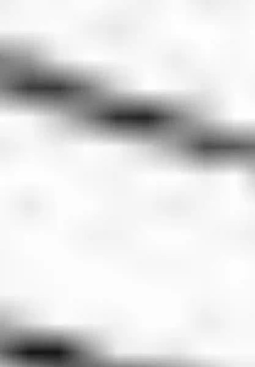 高倍率暗黑麻将列传第41话