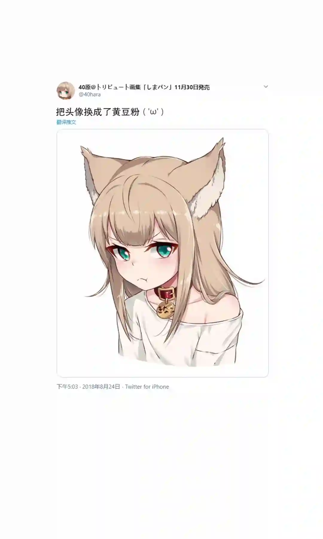 我家的猫猫是可爱的女孩子！杂图1