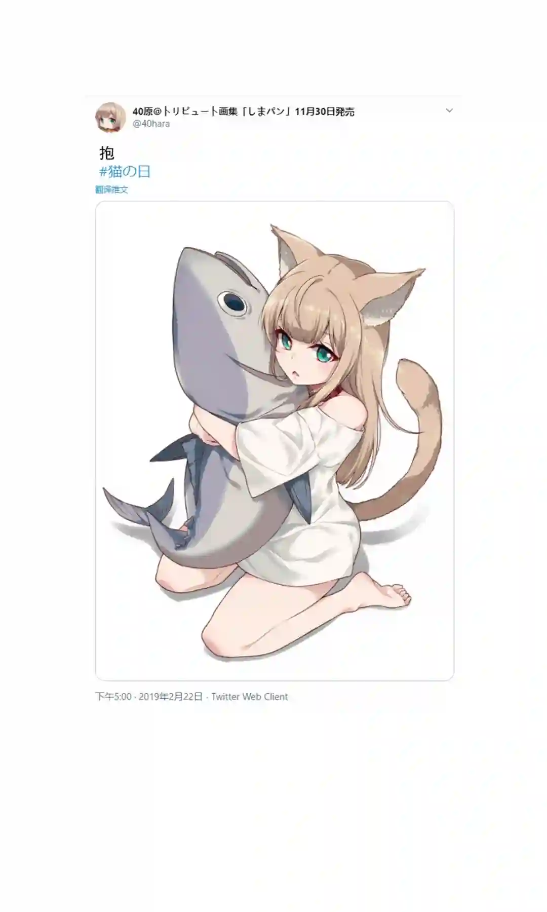 我家的猫猫是可爱的女孩子！杂图1