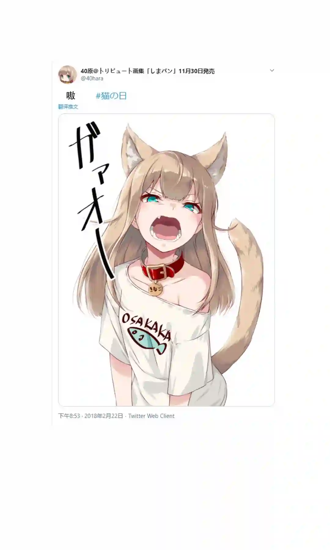 我家的猫猫是可爱的女孩子！杂图1