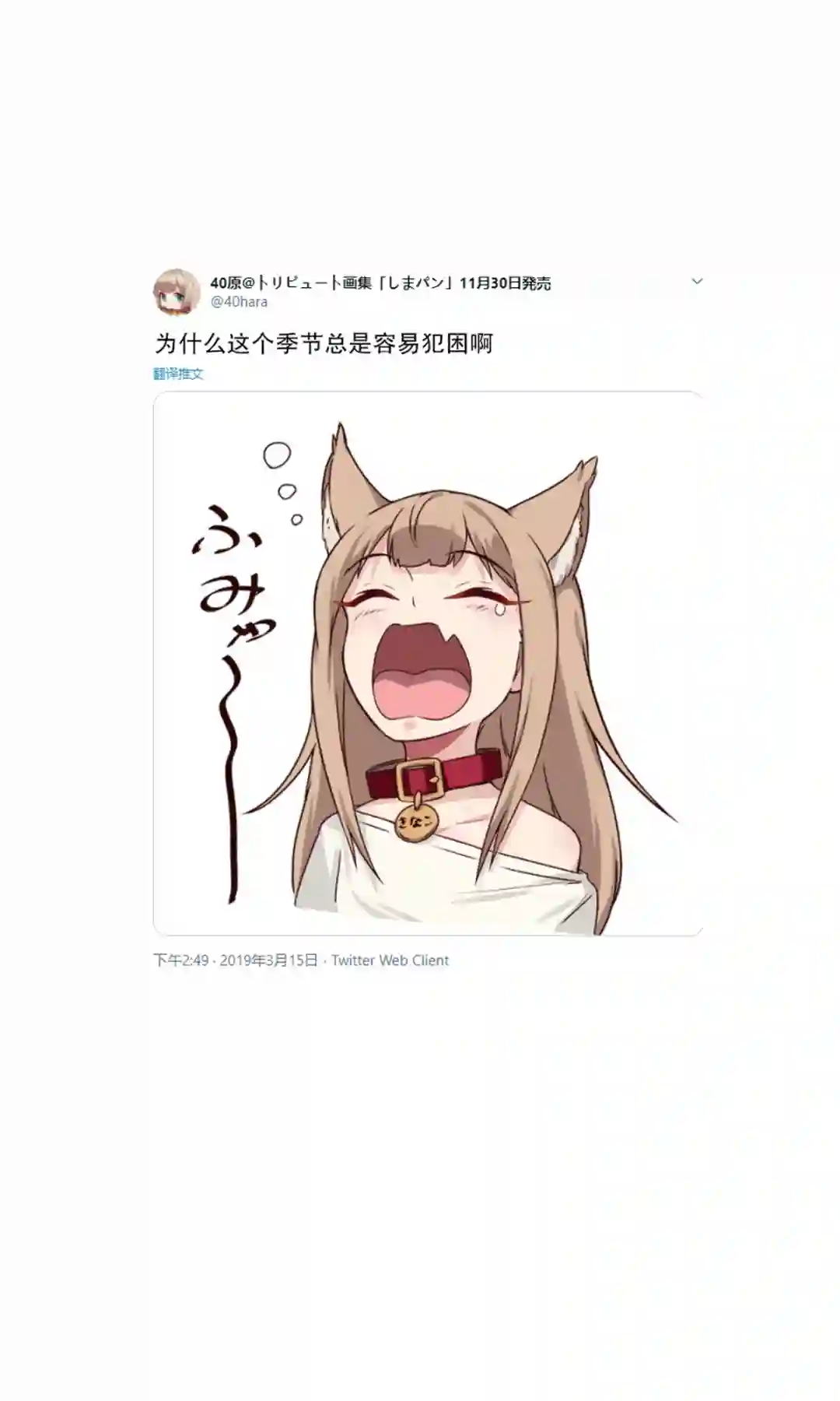 我家的猫猫是可爱的女孩子！杂图1