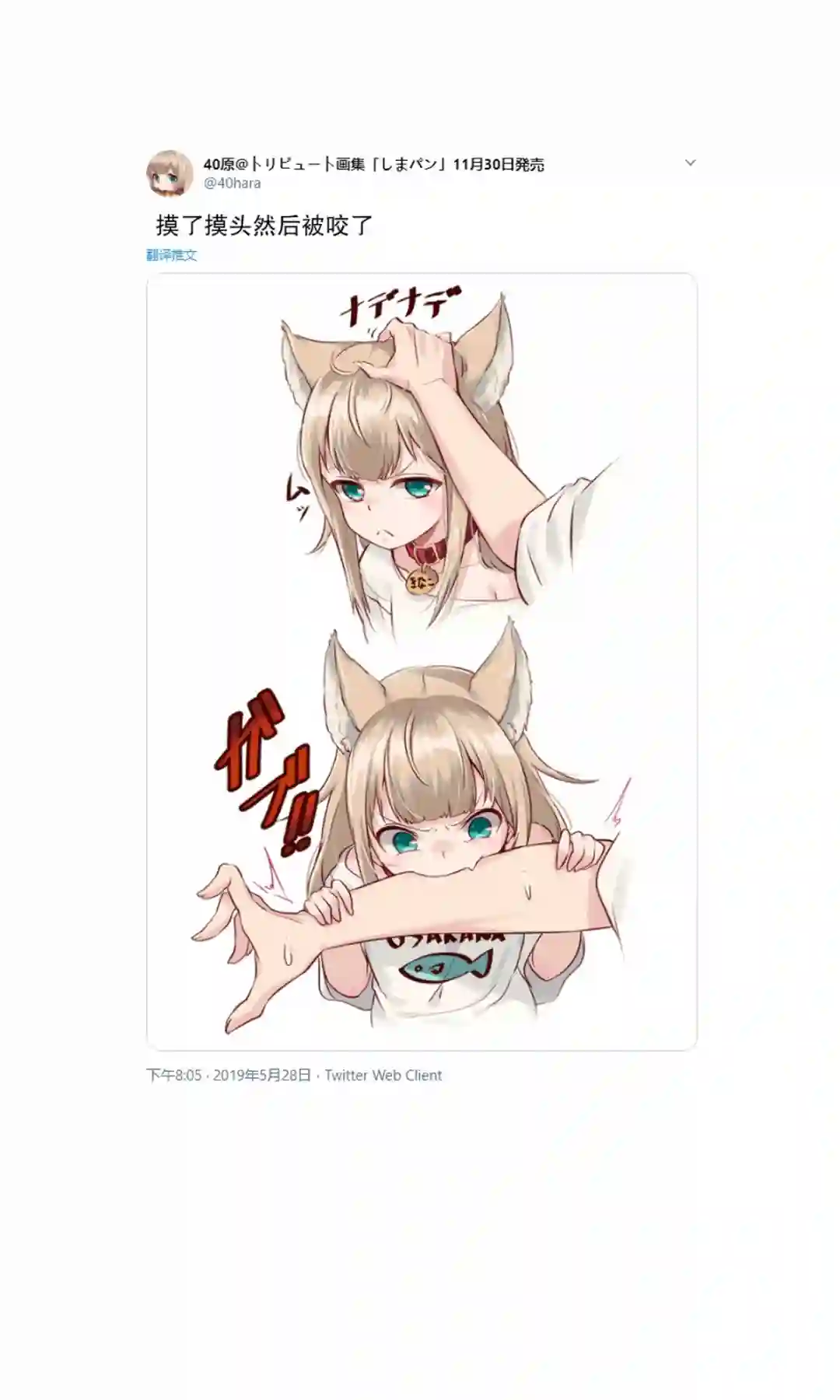 我家的猫猫是可爱的女孩子！杂图1