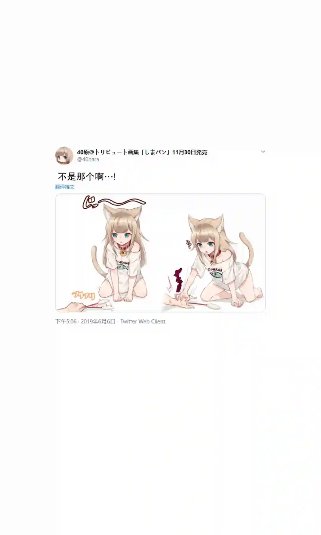 我家的猫猫是可爱的女孩子！杂图1