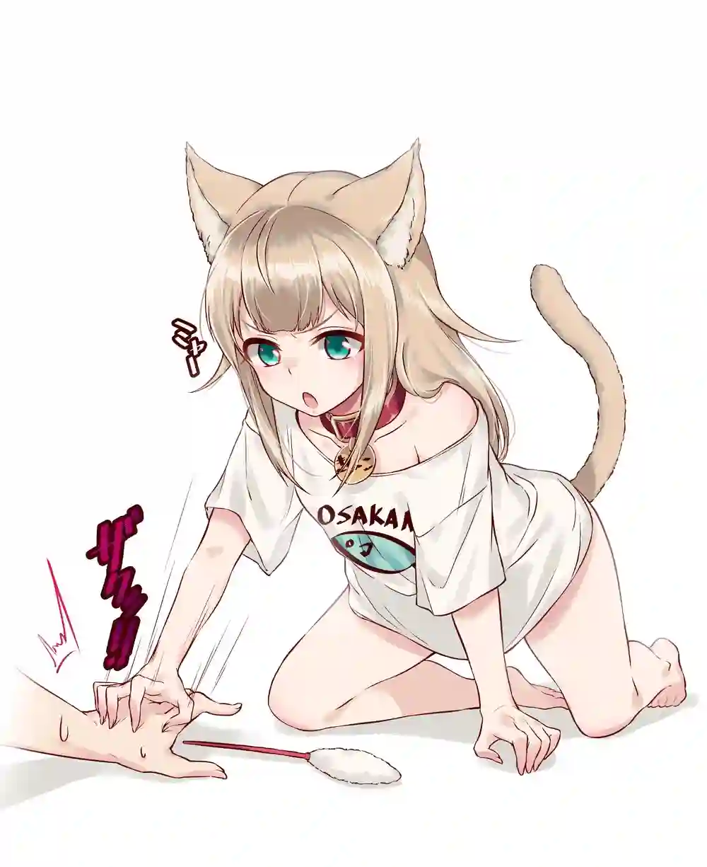 我家的猫猫是可爱的女孩子！杂图1