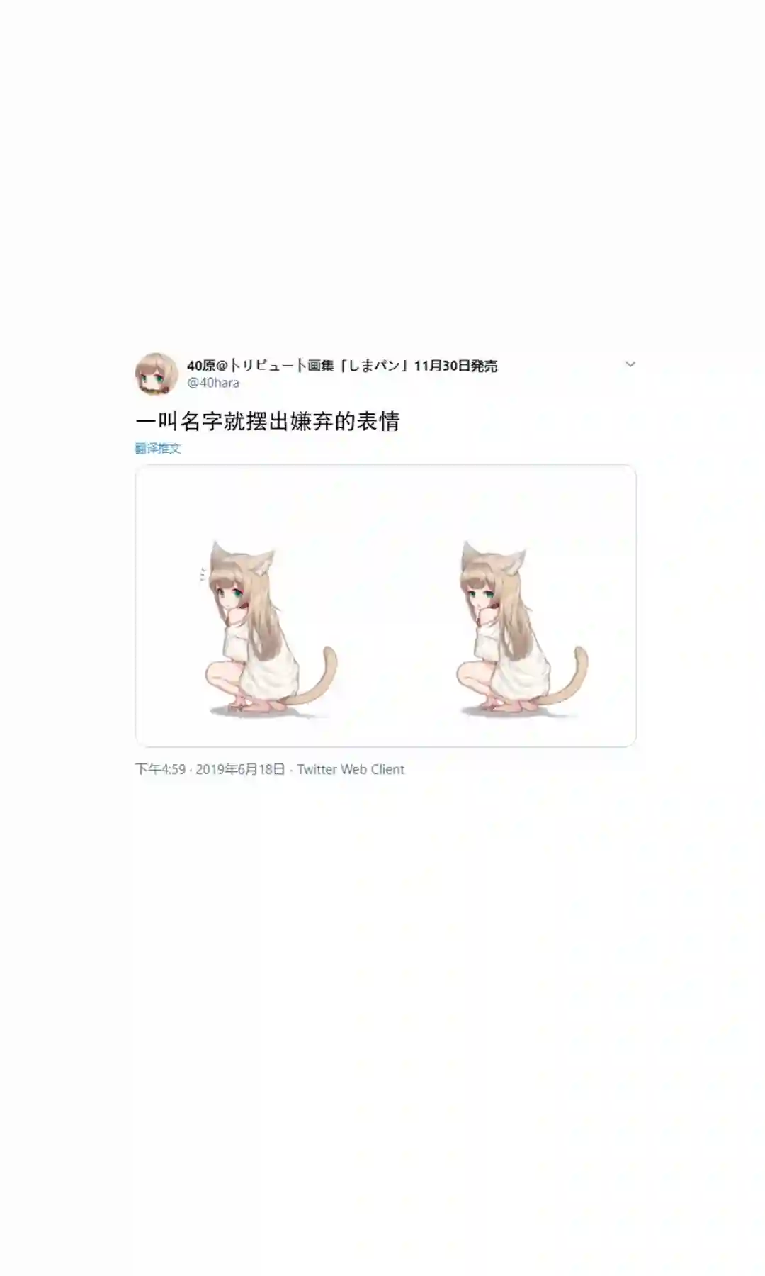 我家的猫猫是可爱的女孩子！杂图1