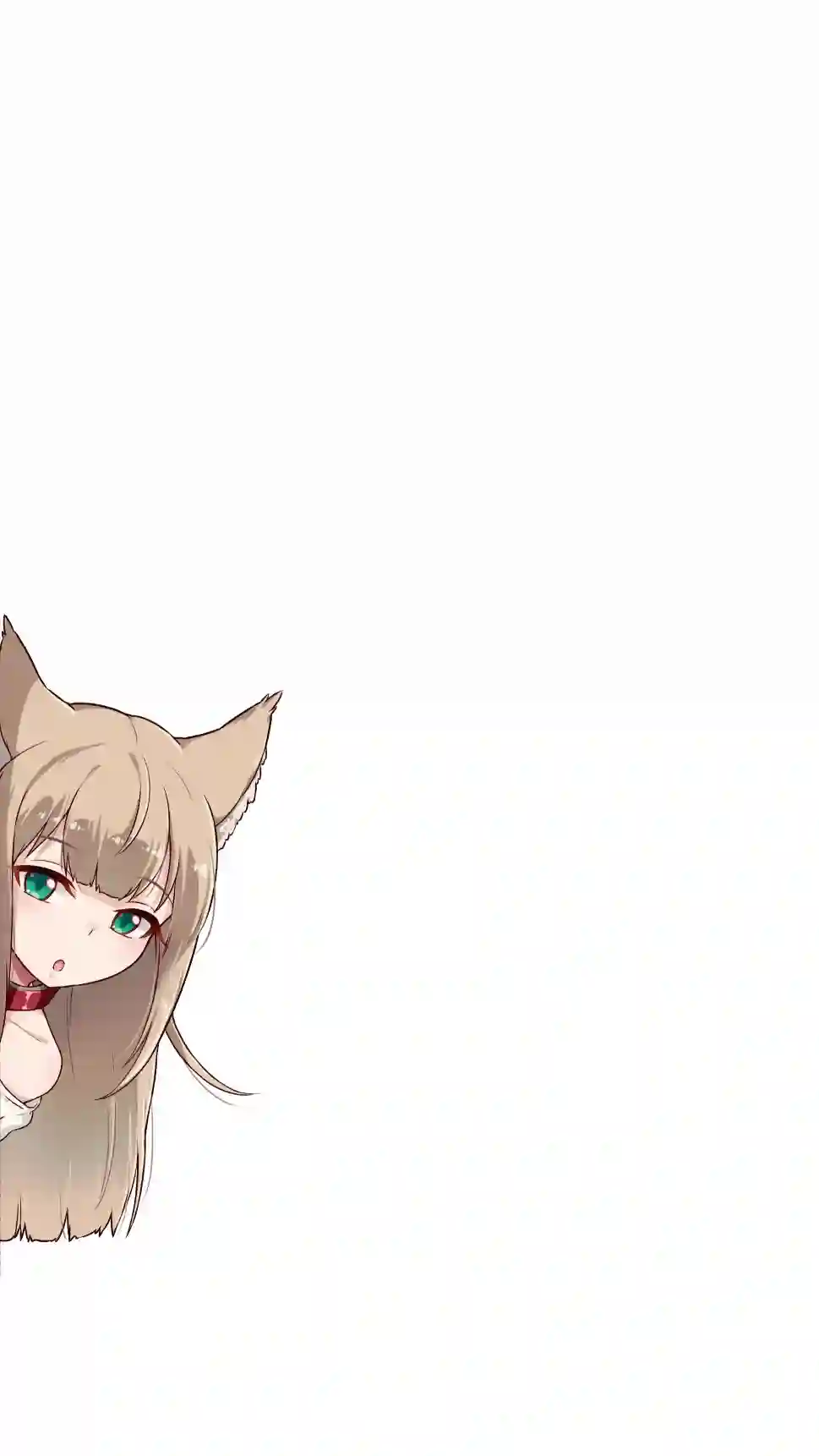 我家的猫猫是可爱的女孩子！杂图1