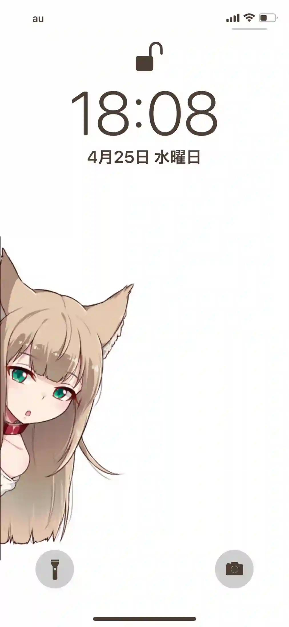 我家的猫猫是可爱的女孩子！杂图1