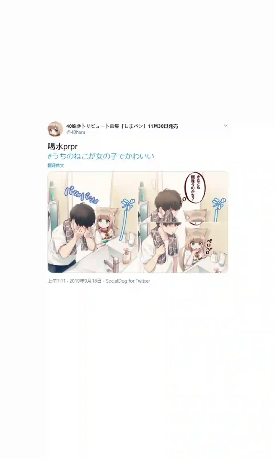 我家的猫猫是可爱的女孩子！杂图2