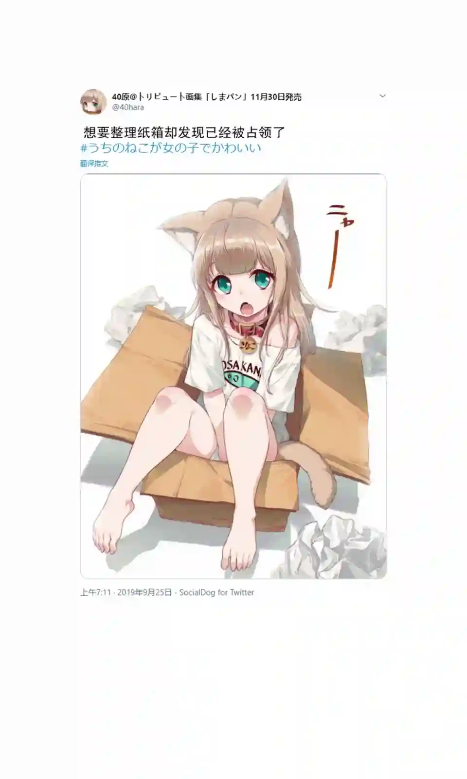 我家的猫猫是可爱的女孩子！杂图2