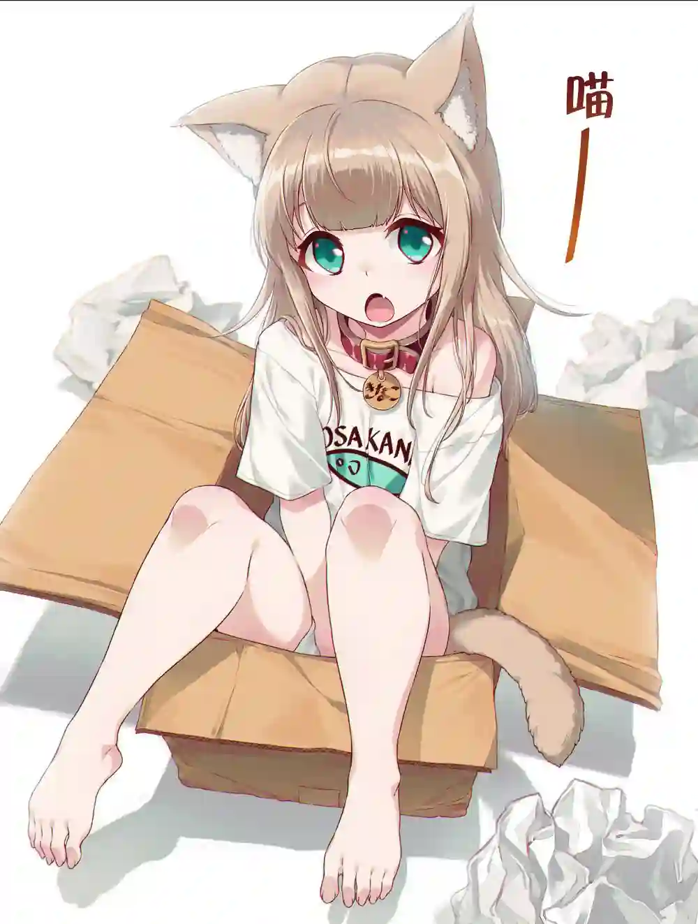 我家的猫猫是可爱的女孩子！杂图2