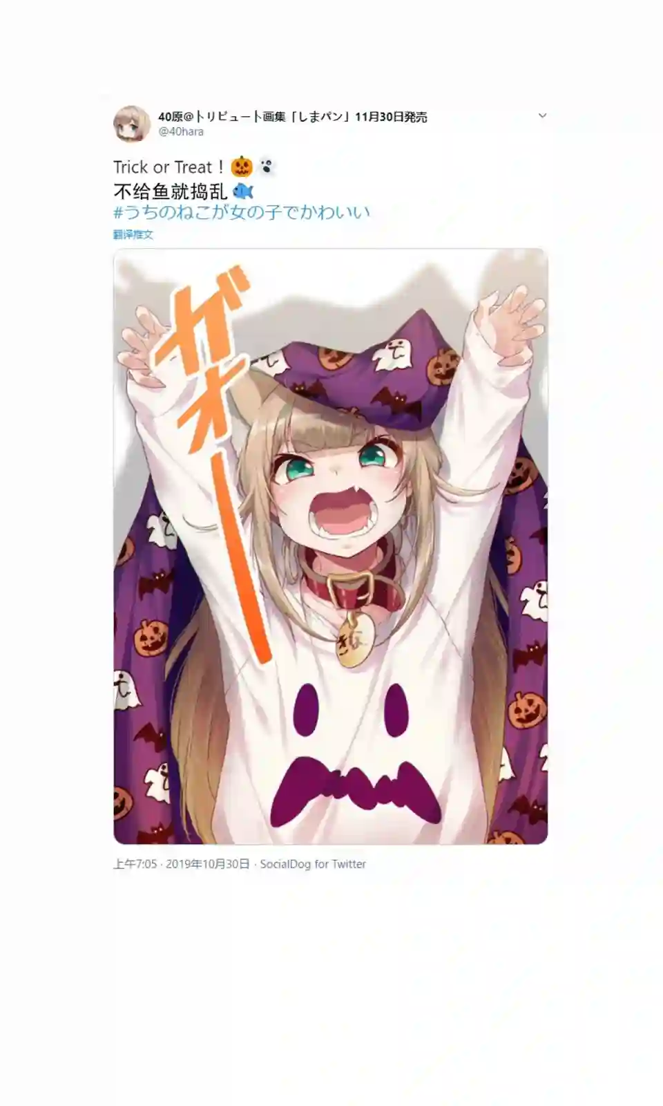 我家的猫猫是可爱的女孩子！杂图3