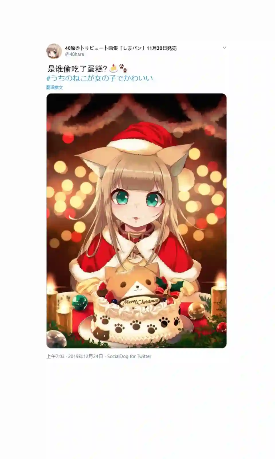 我家的猫猫是可爱的女孩子！杂图3