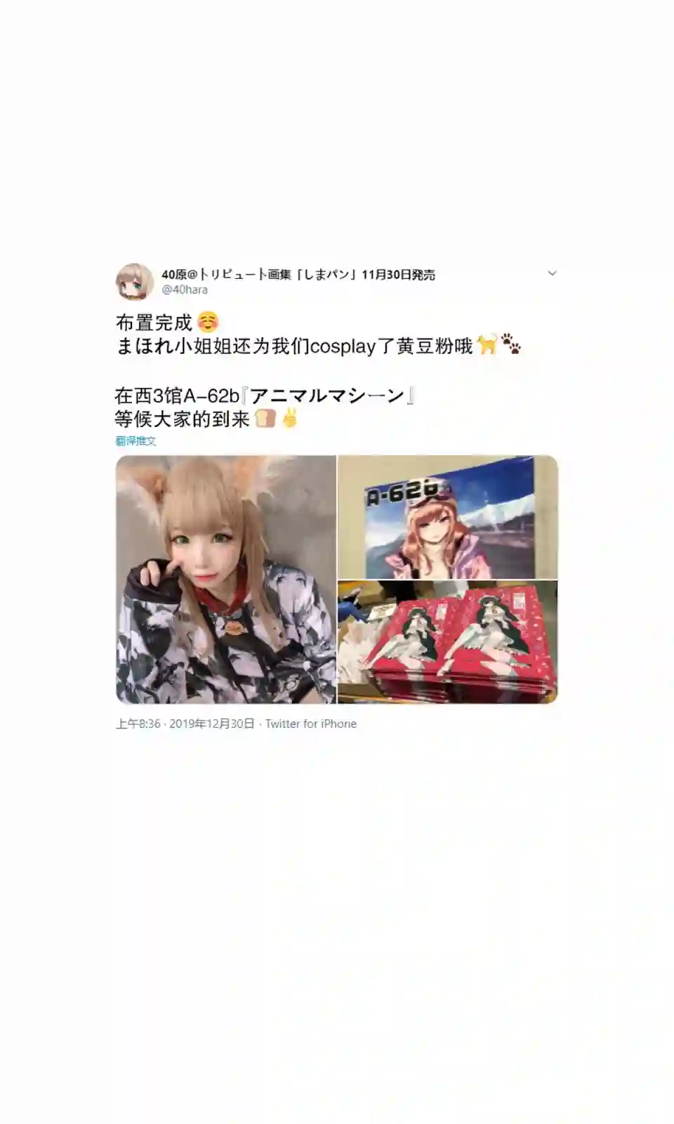 我家的猫猫是可爱的女孩子！杂图3