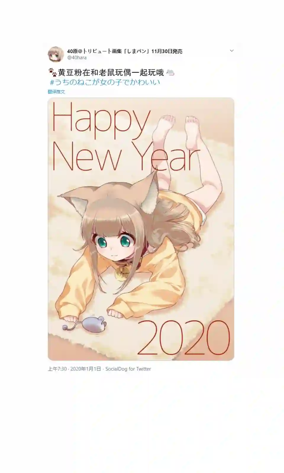 我家的猫猫是可爱的女孩子！杂图3