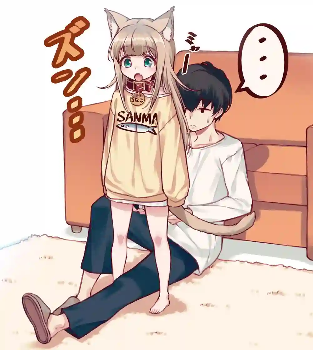 我家的猫猫是可爱的女孩子！杂图3