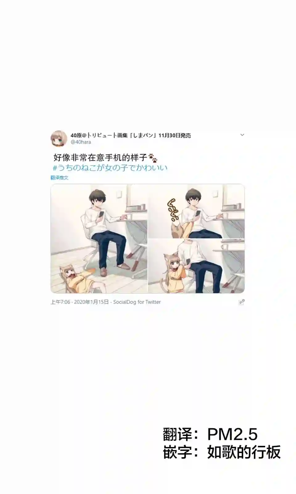 我家的猫猫是可爱的女孩子！杂图4