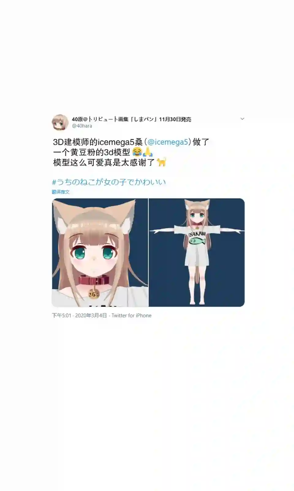 我家的猫猫是可爱的女孩子！杂图4