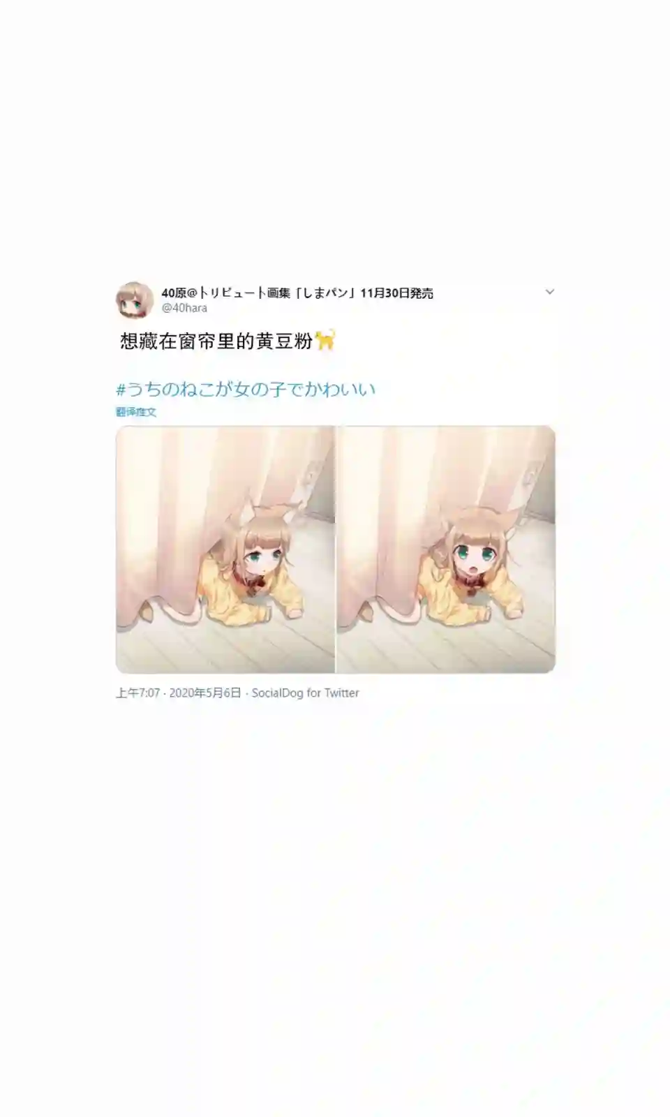 我家的猫猫是可爱的女孩子！杂图4