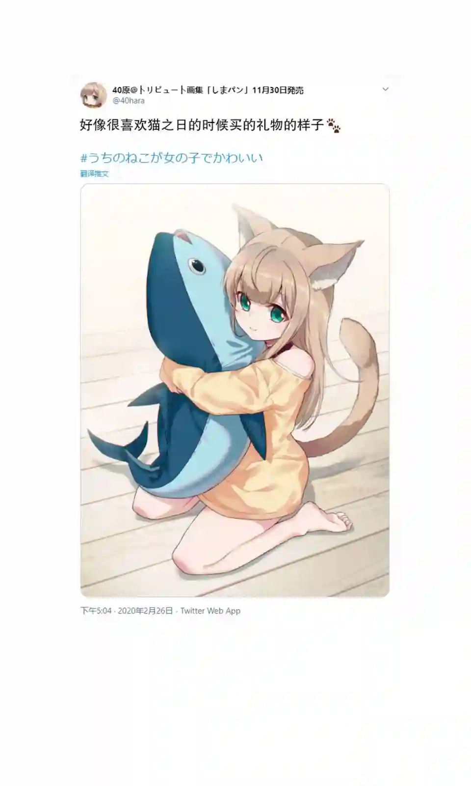 我家的猫猫是可爱的女孩子！杂图4