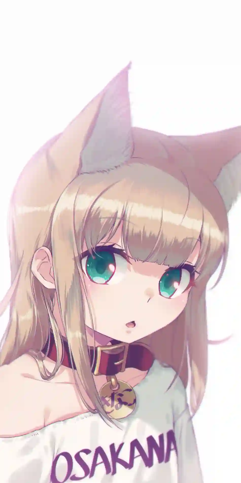 我家的猫猫是可爱的女孩子！杂图5