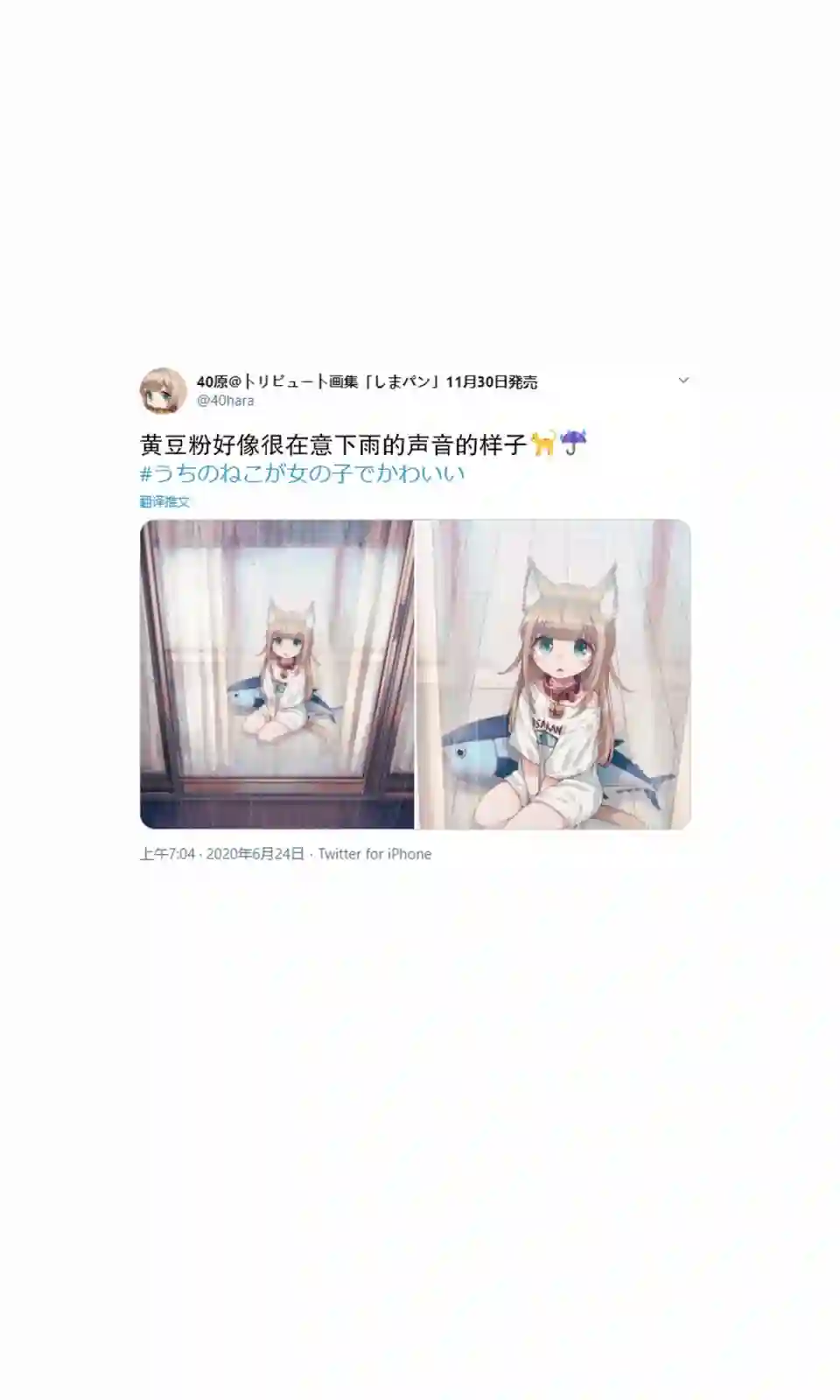 我家的猫猫是可爱的女孩子！杂图5