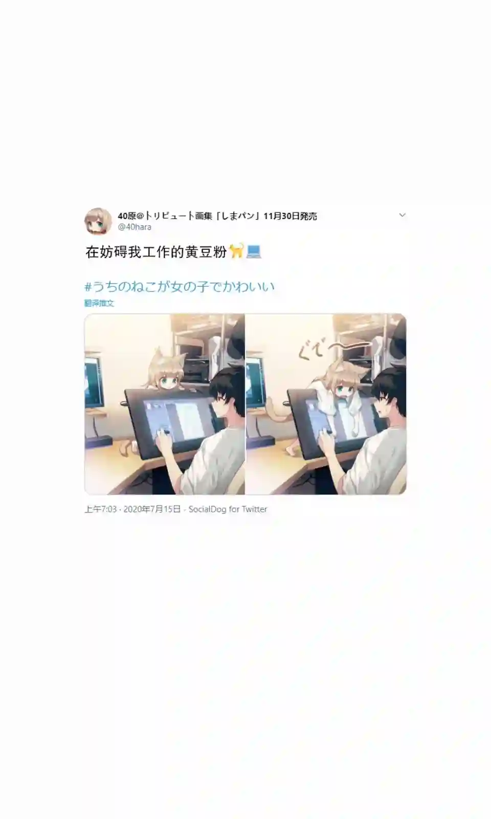 我家的猫猫是可爱的女孩子！杂图5