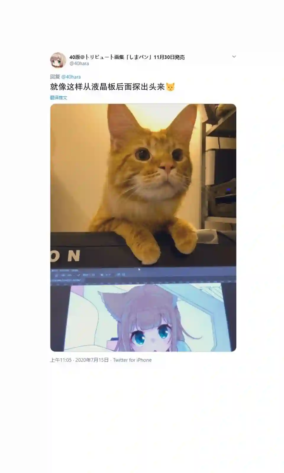 我家的猫猫是可爱的女孩子！杂图5