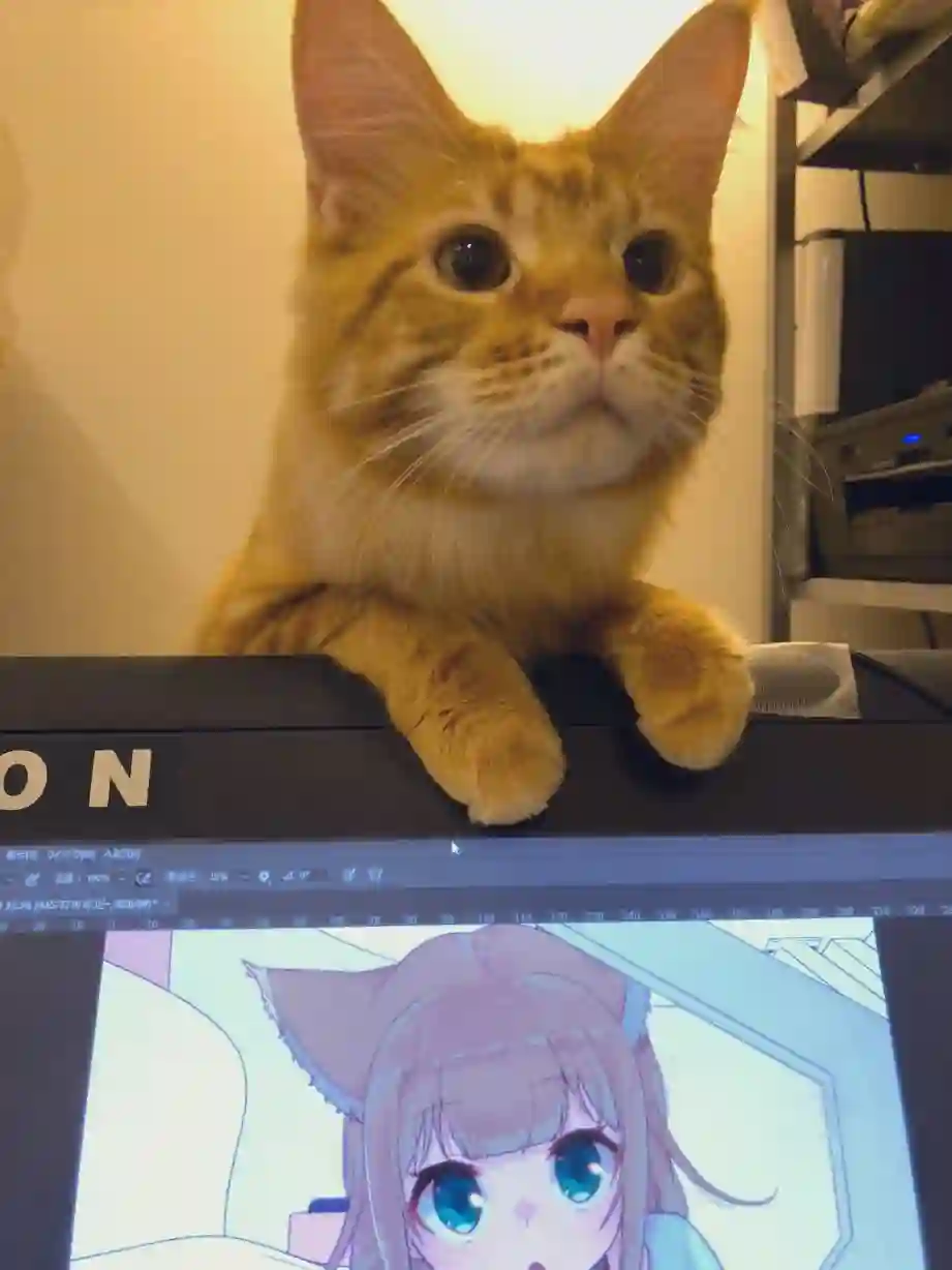 我家的猫猫是可爱的女孩子！杂图5