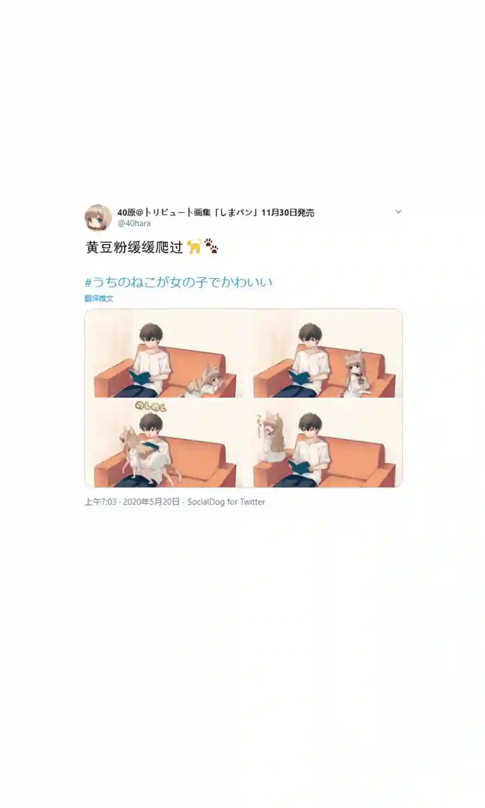 我家的猫猫是可爱的女孩子！杂图5