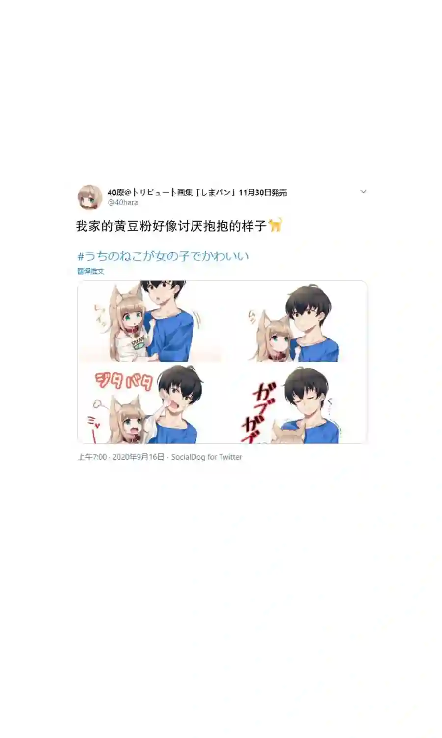 我家的猫猫是可爱的女孩子！杂图6