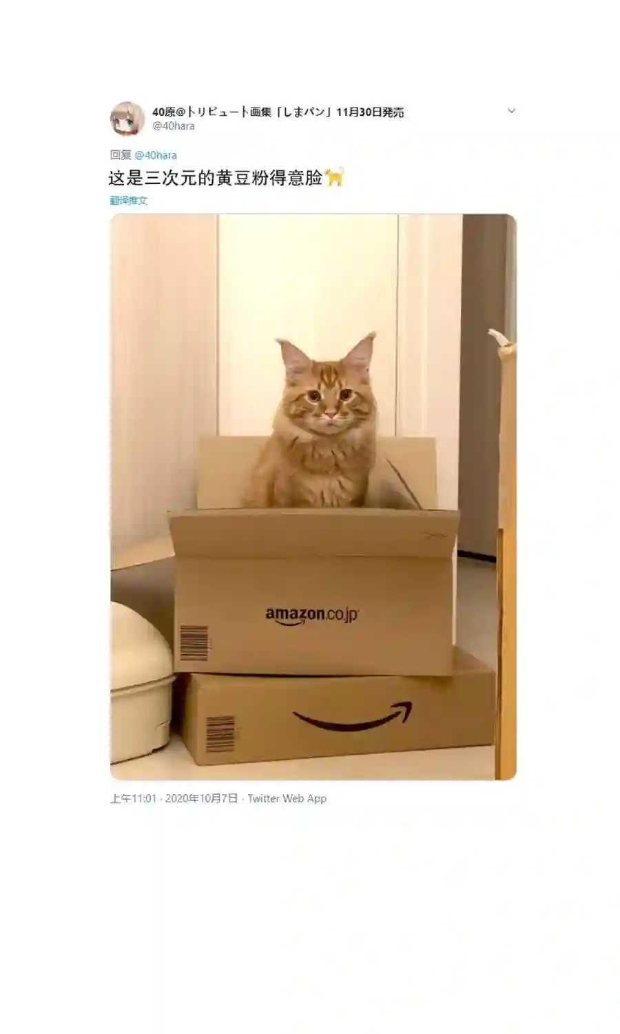 我家的猫猫是可爱的女孩子！杂图6