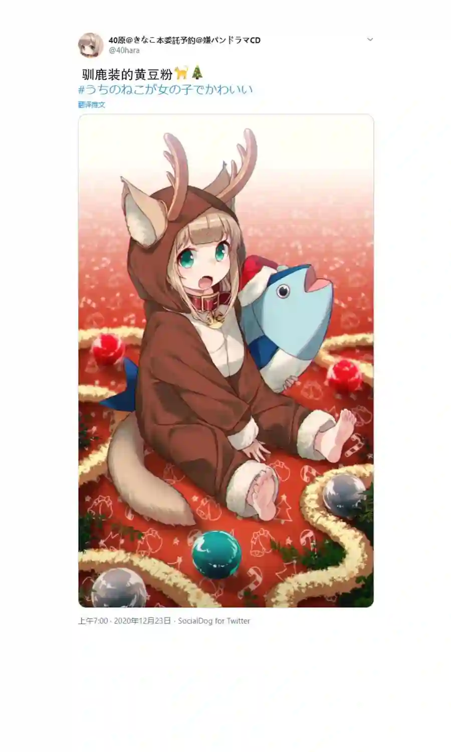 我家的猫猫是可爱的女孩子！杂图6