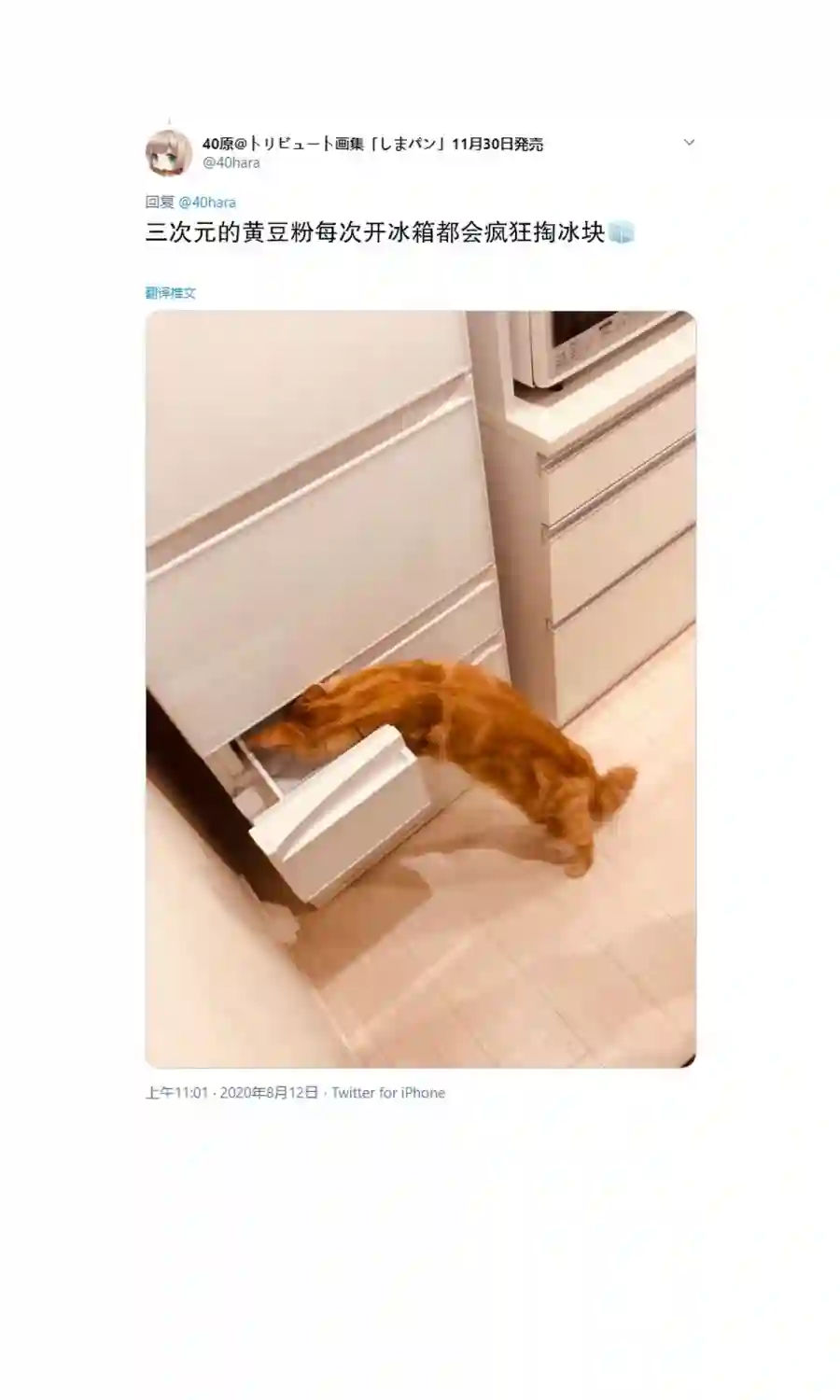 我家的猫猫是可爱的女孩子！杂图6