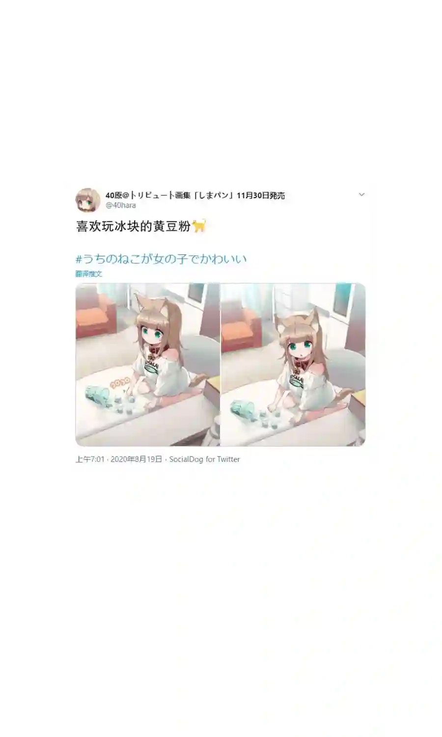 我家的猫猫是可爱的女孩子！杂图6