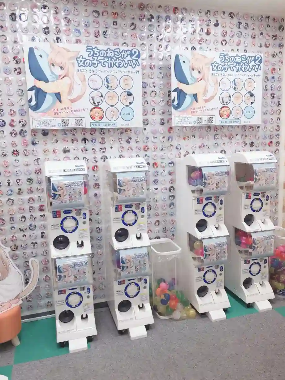 我家的猫猫是可爱的女孩子！第02话