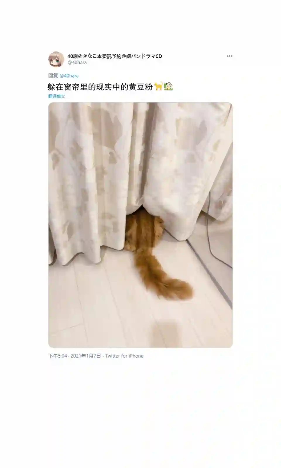 我家的猫猫是可爱的女孩子！第02话