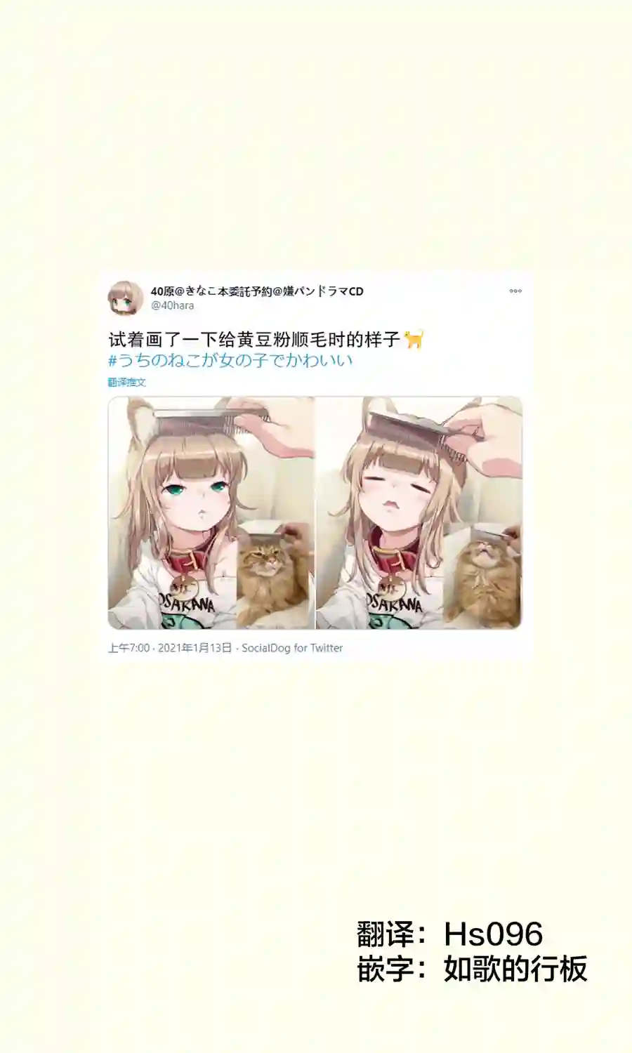 我家的猫猫是可爱的女孩子！杂图8