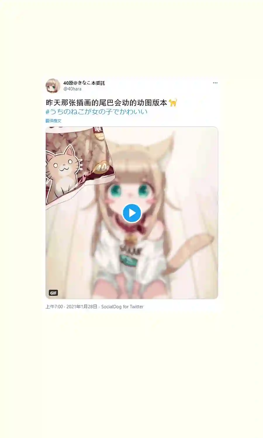 我家的猫猫是可爱的女孩子！杂图9