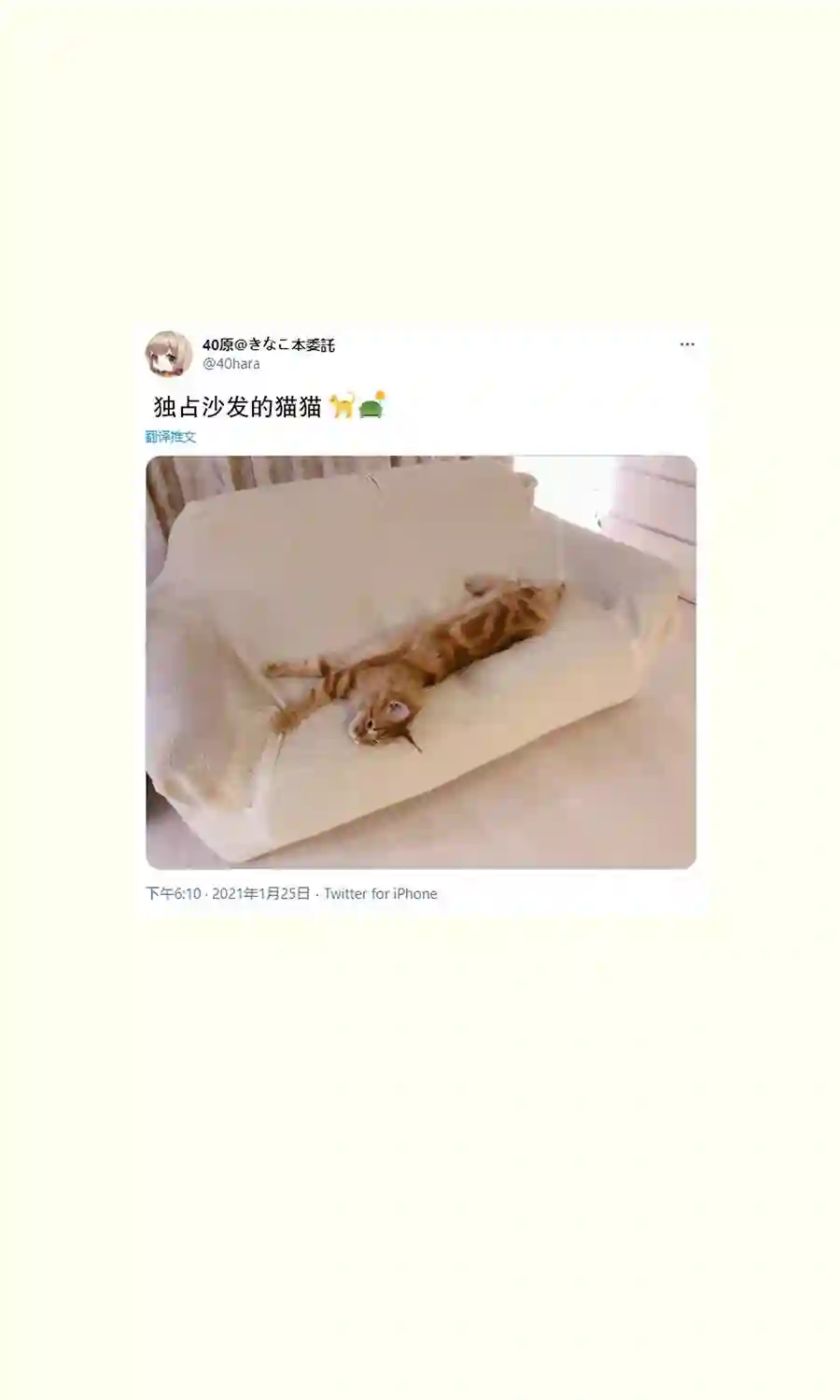 我家的猫猫是可爱的女孩子！杂图9