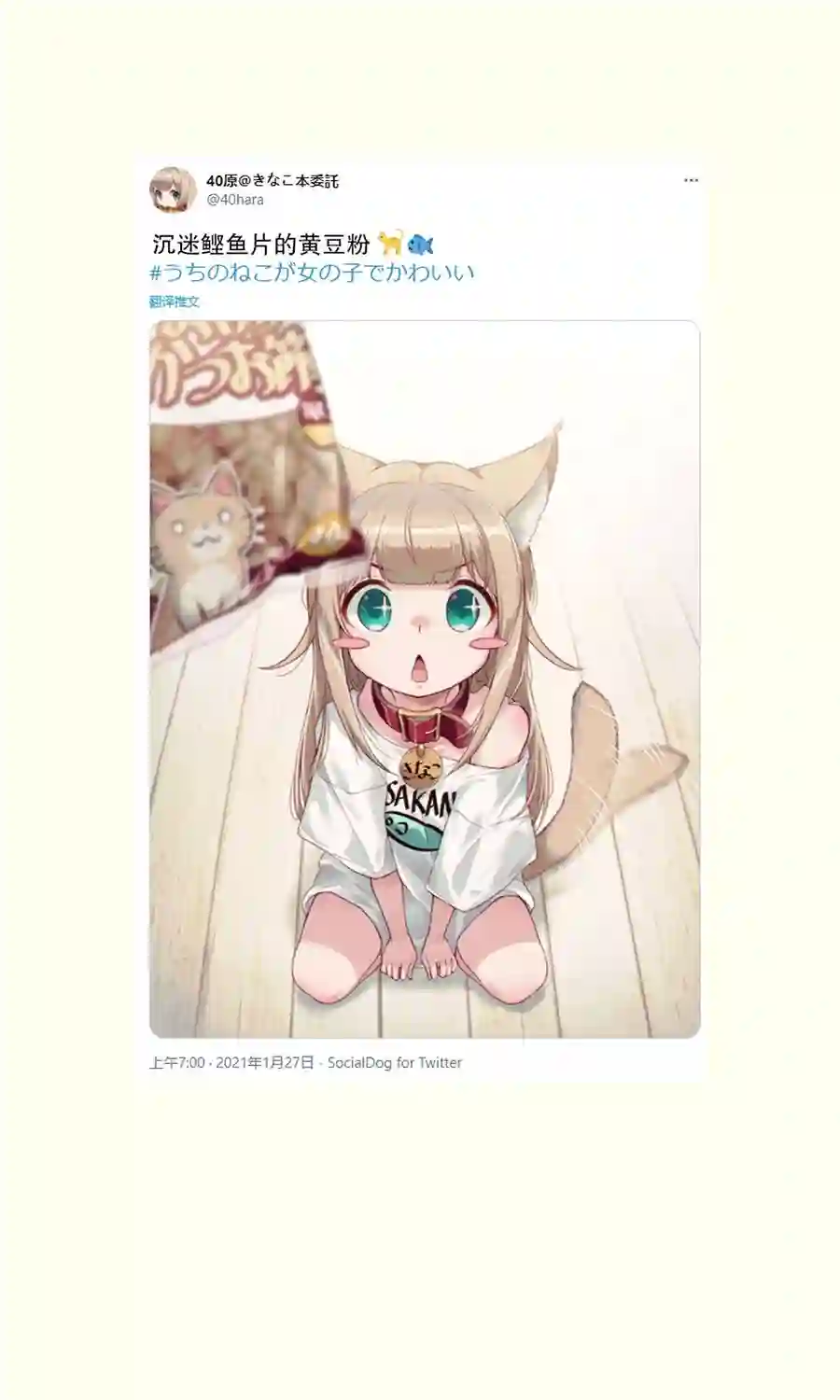 我家的猫猫是可爱的女孩子！杂图9