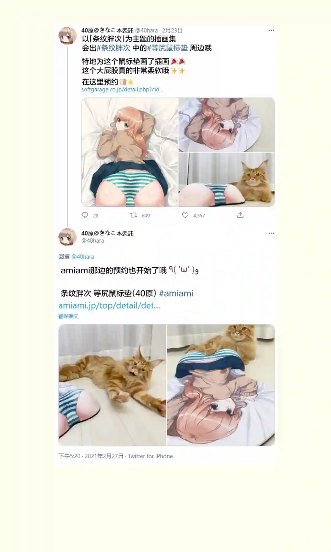 我家的猫猫是可爱的女孩子！杂图11