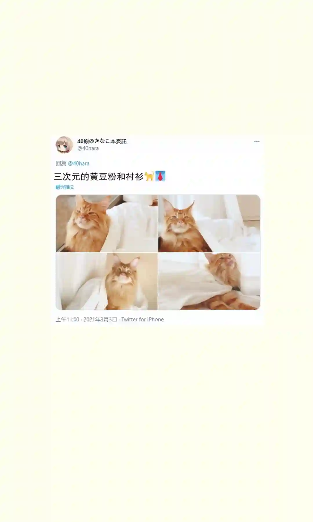 我家的猫猫是可爱的女孩子！杂图11