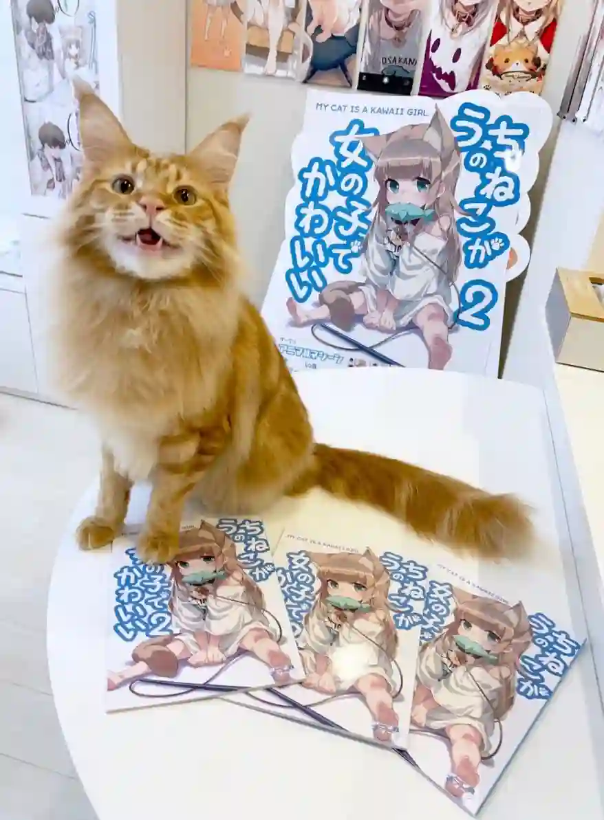 我家的猫猫是可爱的女孩子！杂图13